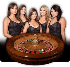 bet55955